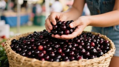 Açaí: fruta poderosa aliada contra o envelhecimento